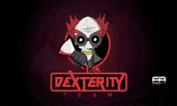 Team Dexterity