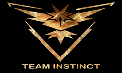 TEAM-INSTINCT