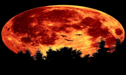 Blood Moon