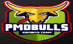 PMDBULLS