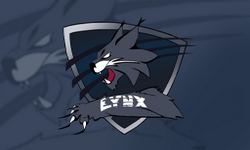 Team Lynx