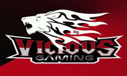 Vicious Gaming 