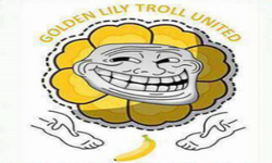 Golden Lily Troll United