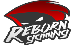 Reborn Gaming