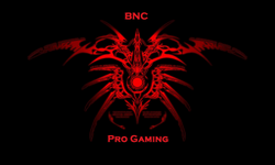 Bnc Gaming 