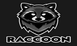 Team Raccoon