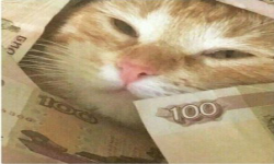 Gucci gang