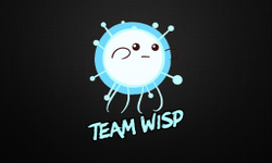 TeamWisp