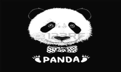 PANDAeye