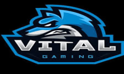 VitalGaming