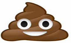 EAT SLEEP POOP