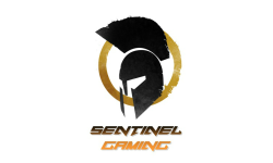 Sentinel Gaming