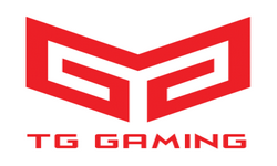 Team Gaming