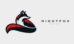 Team Night Fox