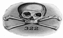 Skull & Bones