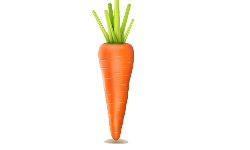 Carrot