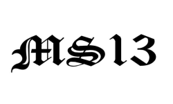 Ms13