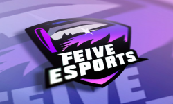 Feive Esports