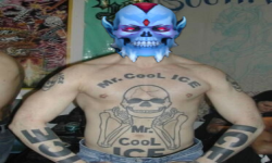 MR COOL ICE