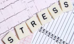 Stress Gaming.Com