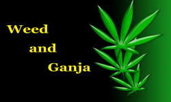 Weed and Ganja