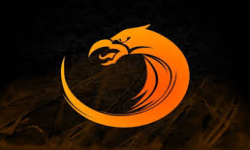 TNC.PRO.Team