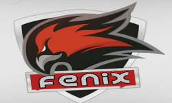 TeamFenix