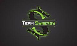 Synergy Gaming