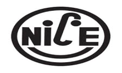 N 1 C E