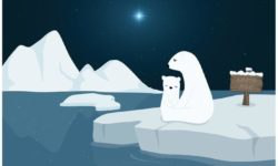 Iceberg