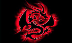 SOLID.RED DRAGON