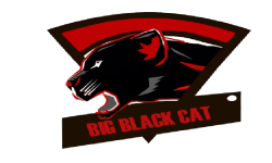 BigBlackCat