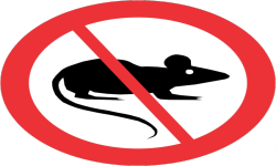 No Rats