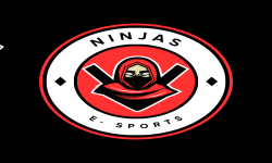 NinjAs E-Sports