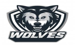 Wolves Esports