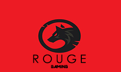 ROUGE Gaming Team