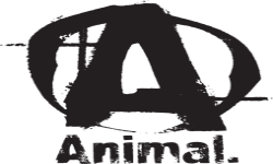 animal club