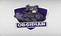 Obsidian Team