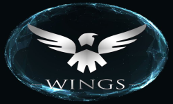 Wings Gaming