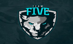 TeamFive