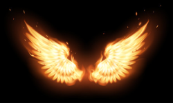 Wings on fire