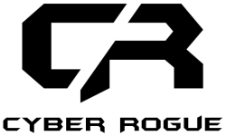 CYBER ROGUE