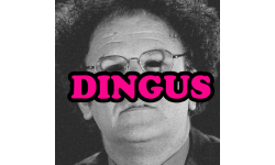 never go full dingus