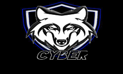 Cyber