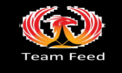 Team Feed