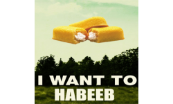 Habeeb It