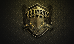 HoolyGun