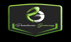 Pandawa Gaming