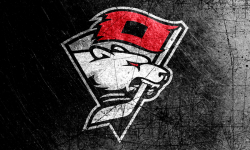 Charlotte Checkers Team