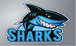 Team_Shark